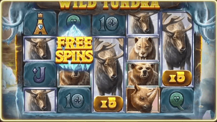 5 Wild Tundra online slot game